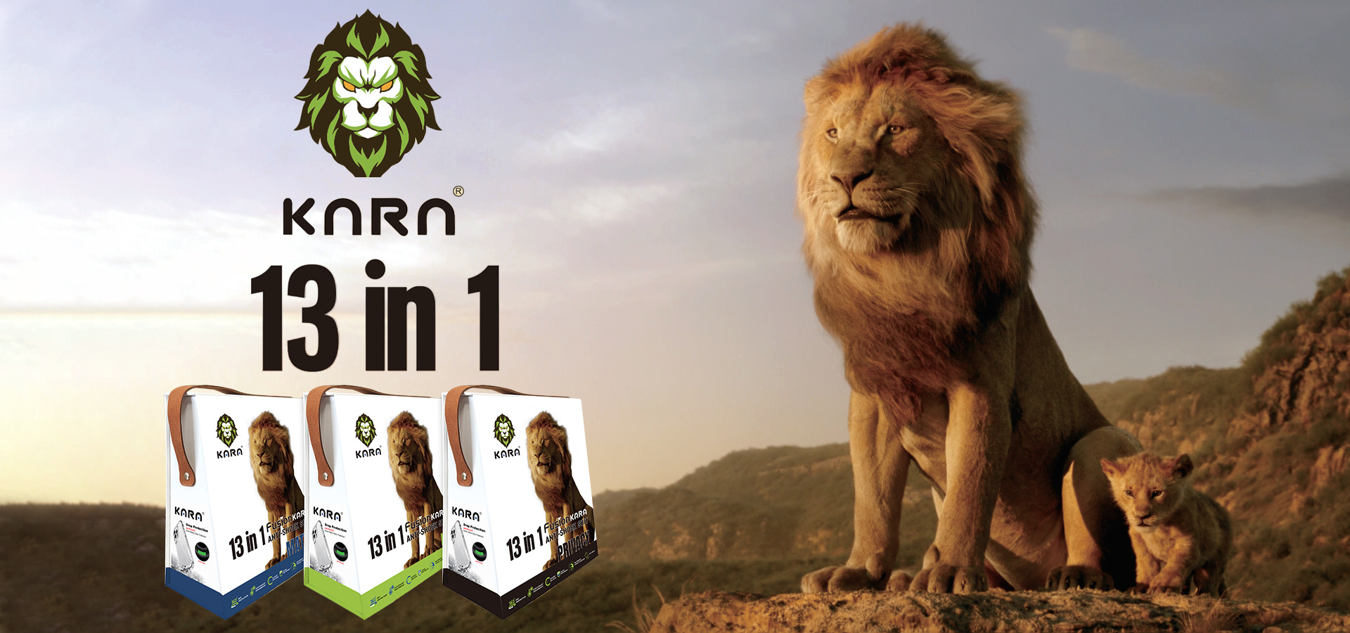 Kara — lions illustration